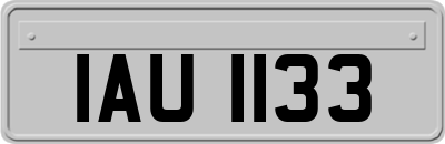 IAU1133