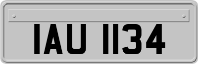 IAU1134