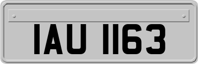 IAU1163