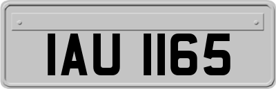 IAU1165