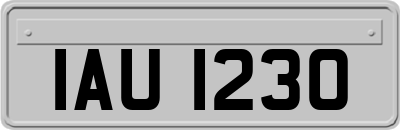 IAU1230