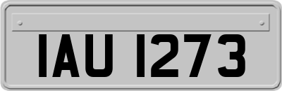 IAU1273