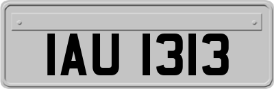 IAU1313