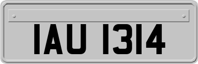 IAU1314