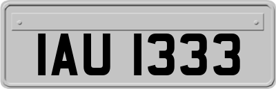 IAU1333