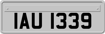 IAU1339