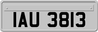 IAU3813