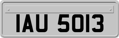 IAU5013