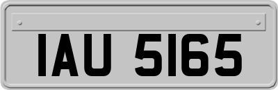 IAU5165