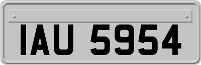 IAU5954