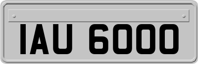 IAU6000