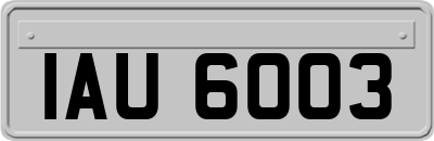 IAU6003