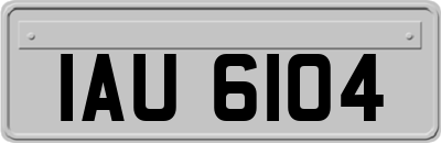 IAU6104