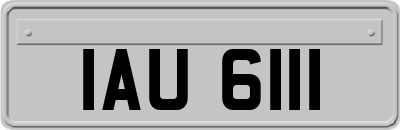 IAU6111