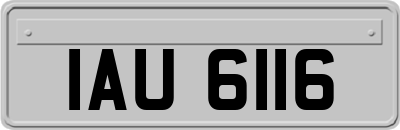 IAU6116