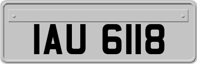 IAU6118