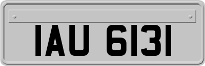 IAU6131