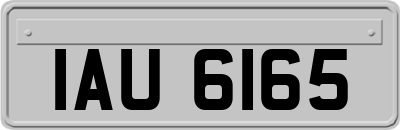 IAU6165