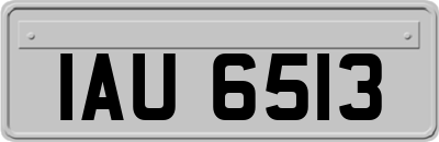 IAU6513