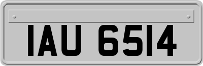 IAU6514