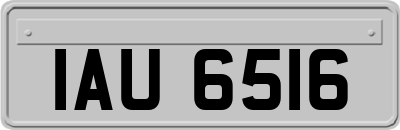 IAU6516