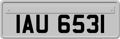 IAU6531