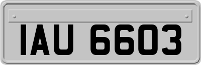 IAU6603