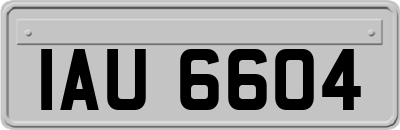 IAU6604