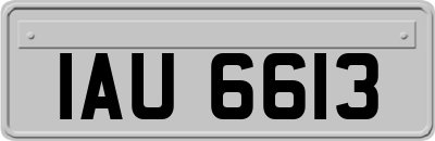 IAU6613