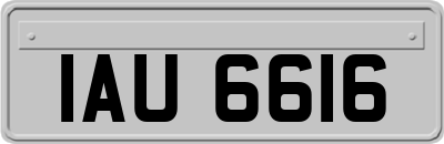 IAU6616