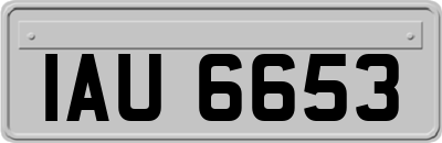 IAU6653