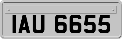 IAU6655