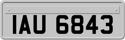 IAU6843