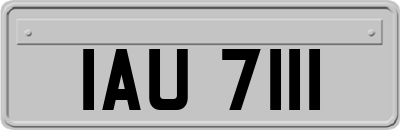 IAU7111