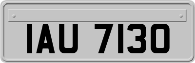 IAU7130