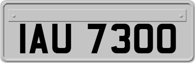 IAU7300