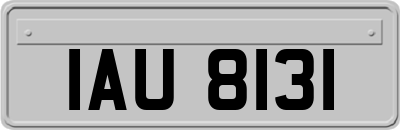 IAU8131