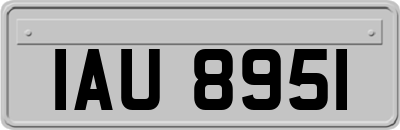 IAU8951