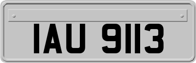 IAU9113