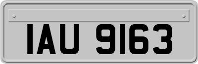 IAU9163