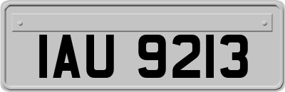 IAU9213