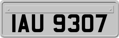 IAU9307