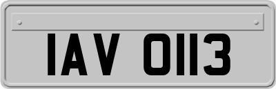 IAV0113