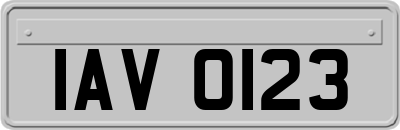 IAV0123