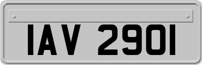 IAV2901