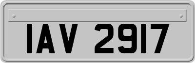 IAV2917