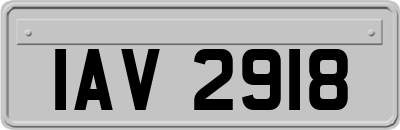 IAV2918