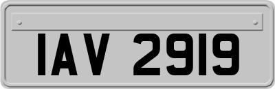 IAV2919