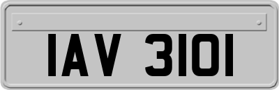 IAV3101