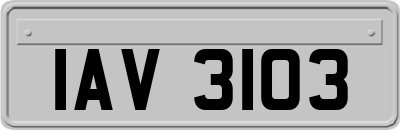 IAV3103